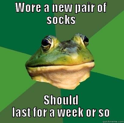 WORE A NEW PAIR OF SOCKS SHOULD LAST FOR A WEEK OR SO Foul Bachelor Frog