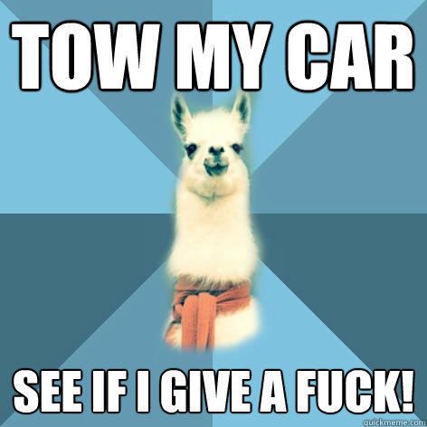 tow my car see if i give a fuck!  Linguist Llama