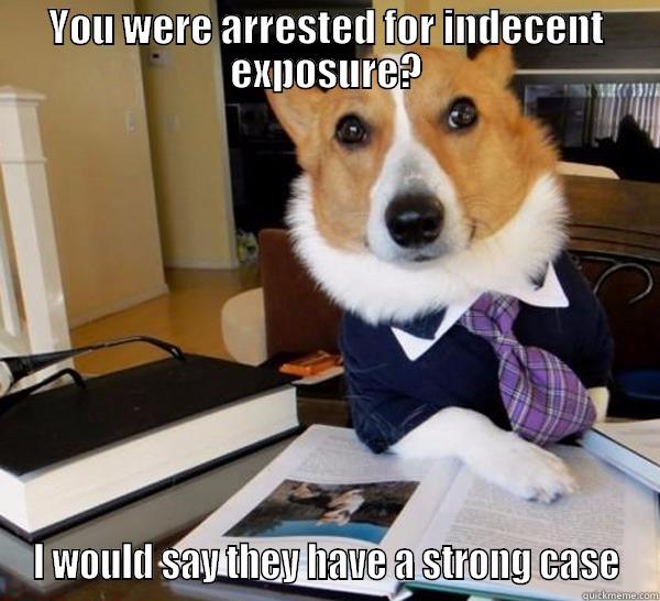 YOU WERE ARRESTED FOR INDECENT EXPOSURE? I WOULD SAY THEY HAVE A STRONG CASE Lawyer Dog