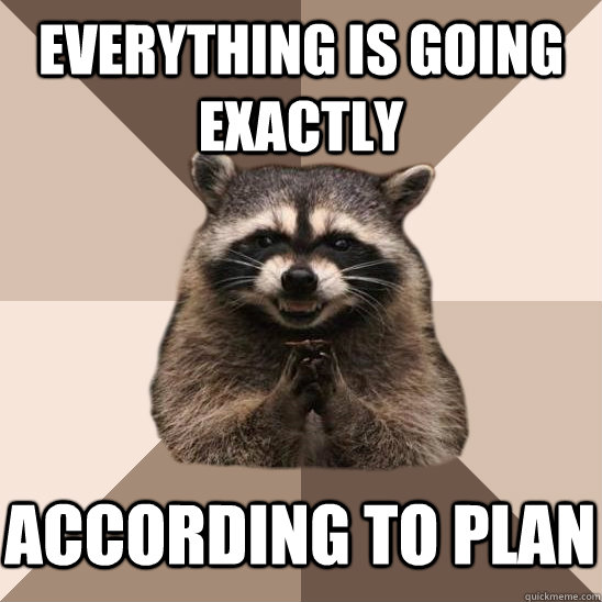 Everything is going exactly    according to plan - Everything is going exactly    according to plan  Evil Plotting Raccoon