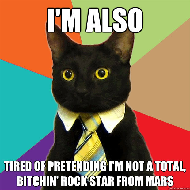 I'm also tired of pretending I'm not a total, bitchin' rock star from Mars  Business Cat