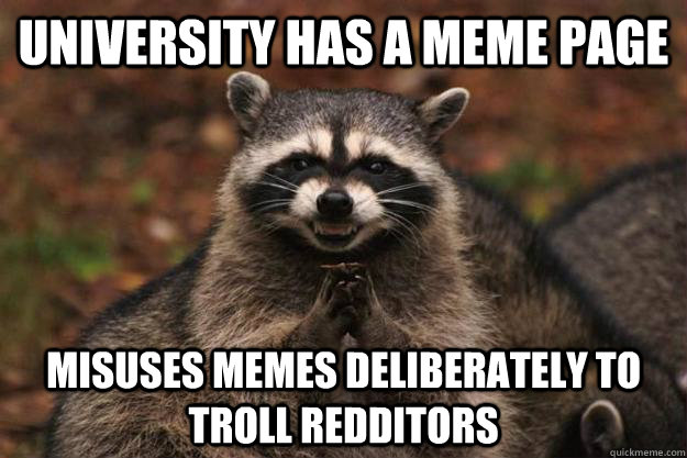 university has a meme page misuses memes deliberately to troll redditors  Evil Plotting Raccoon