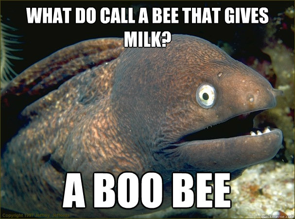 WHAT DO CALL A BEE THAT GIVES MILK? A BOO BEE  Bad Joke Eel