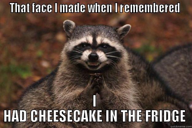 THAT FACE I MADE WHEN I REMEMBERED I HAD CHEESECAKE IN THE FRIDGE Evil Plotting Raccoon