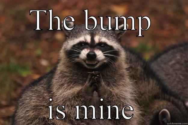 THE BUMP IS MINE Evil Plotting Raccoon