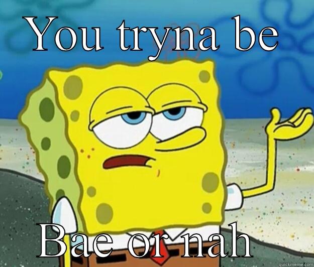 YOU TRYNA BE BAE OR NAH  Tough Spongebob