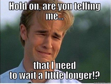 HOLD ON, ARE YOU TELLING ME... THAT I NEED TO WAIT A LITTLE LONGER!? 1990s Problems