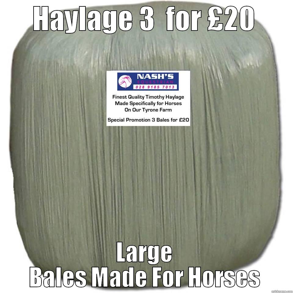 HAYLAGE 3  FOR £20 LARGE BALES MADE FOR HORSES Misc