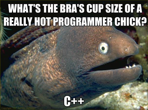 what's the bra's cup size of a really hot programmer chick? C++  Bad Joke Eel