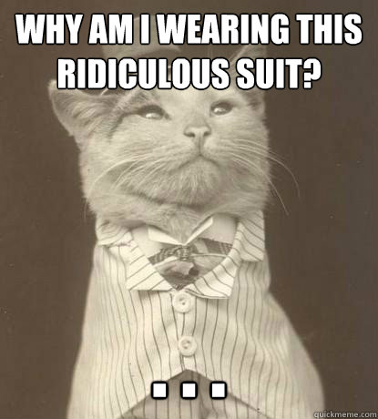 why am i wearing this ridiculous suit? . . .  Aristocat