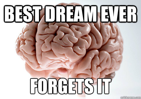 Best dream ever Forgets it - Best dream ever Forgets it  Scumbag Brain