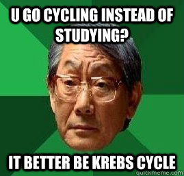 U go cycling instead of studying? It better be krebs cycle - U go cycling instead of studying? It better be krebs cycle  High Expectation Asian Dad