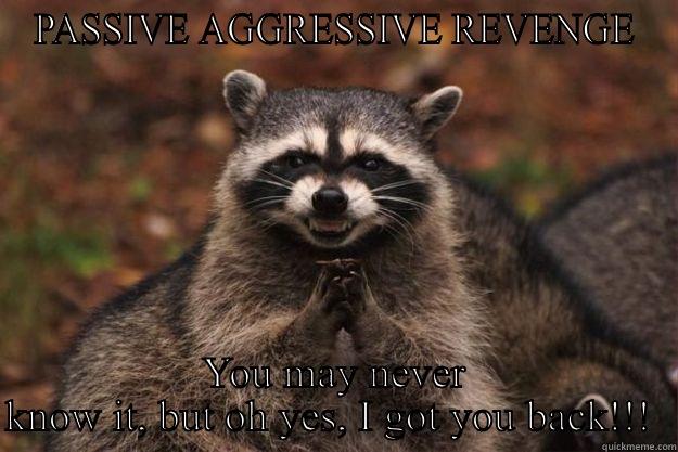 PASSIVE AGGRESSIVE REVENGE YOU MAY NEVER KNOW IT, BUT OH YES, I GOT YOU BACK!!!  Evil Plotting Raccoon