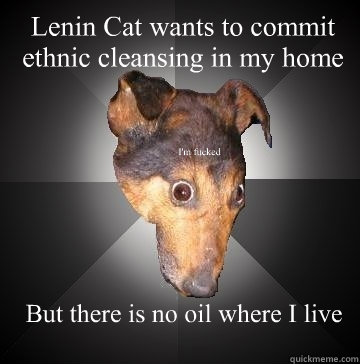 Lenin Cat wants to commit ethnic cleansing in my home But there is no oil where I live I'm fucked  Depression Dog