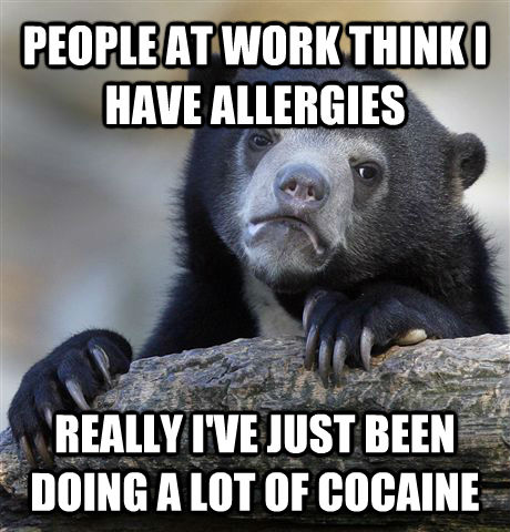 PEOPLE AT WORK THINK I HAVE ALLERGIES REALLY I'VE JUST BEEN DOING A LOT OF COCAINE  Confession Bear