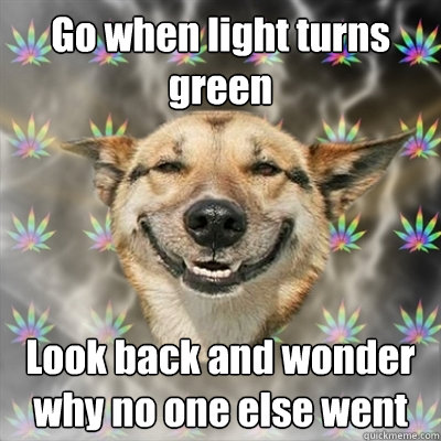 Go when light turns green Look back and wonder why no one else went  Stoner Dog