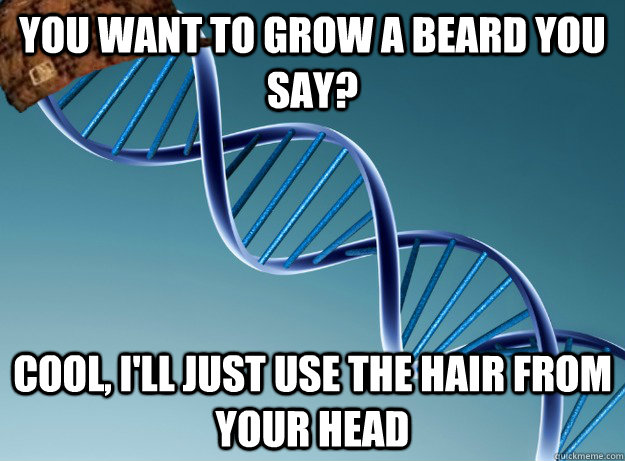 You want to grow a beard you say? cool, i'll just use the hair from your head - You want to grow a beard you say? cool, i'll just use the hair from your head  Scumbag Genetics