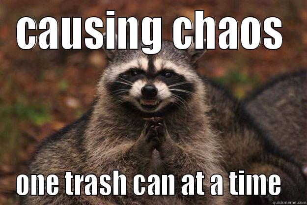 CAUSING CHAOS ONE TRASH CAN AT A TIME  Evil Plotting Raccoon