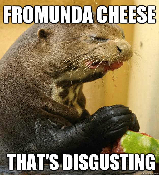 Fromunda cheese  That's Disgusting - Fromunda cheese  That's Disgusting  Disgusted Otter