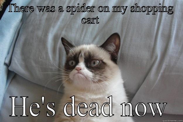 THERE WAS A SPIDER ON MY SHOPPING CART HE'S DEAD NOW Grumpy Cat