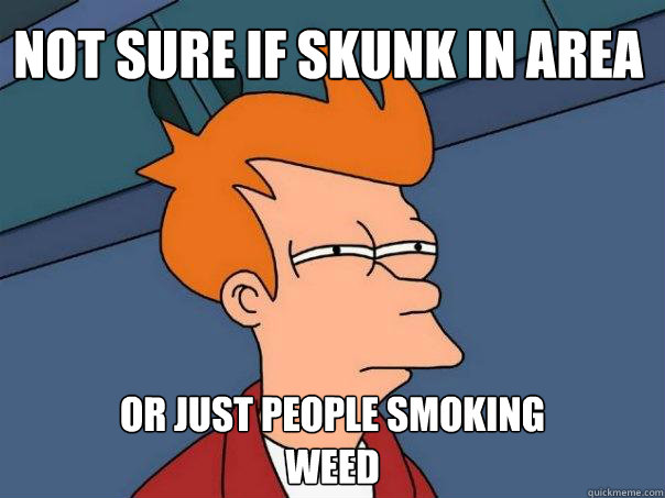 Not sure if skunk in area
 or just people smoking
weed - Not sure if skunk in area
 or just people smoking
weed  Futurama Fry