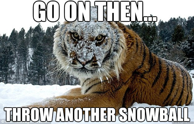 Go on then... Throw another snowball - Go on then... Throw another snowball  Pissed tiger