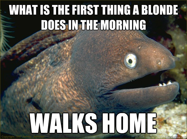 What is the first thing a blonde does in the morning walks home  Bad Joke Eel