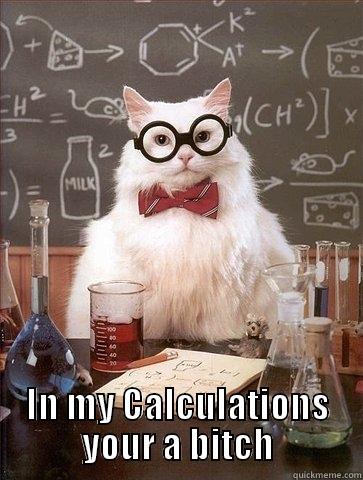  IN MY CALCULATIONS YOUR A BITCH Chemistry Cat