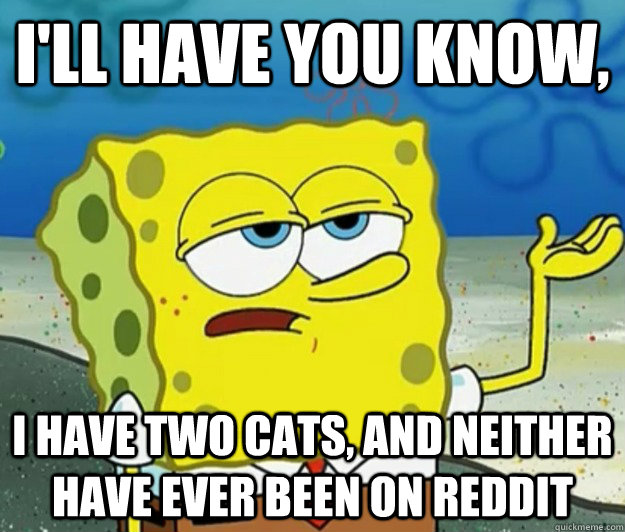 I'll have you know, I have two cats, and neither have ever been on reddit  Tough Spongebob