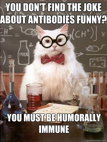 YOU DON'T FIND THE JOKE ABOUT ANTIBODIES FUNNY? YOU MUST BE HUMORALLY IMMUNE  Chemistry Cat