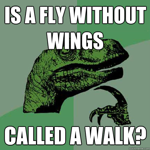 is a fly without wings called a walk? - is a fly without wings called a walk?  Philosoraptor