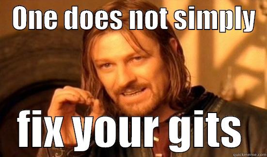 fixing gits -   ONE DOES NOT SIMPLY      FIX YOUR GITS   Boromir