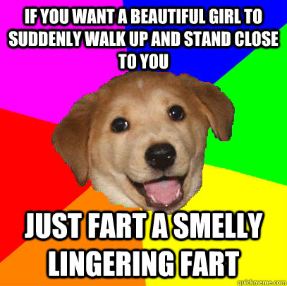 If you want a beautiful girl to suddenly walk up and stand close to you just fart a smelly lingering fart  Advice Dog