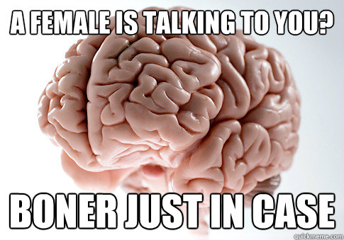 A female is talking to you? Boner just in case - A female is talking to you? Boner just in case  Scumbag Brain