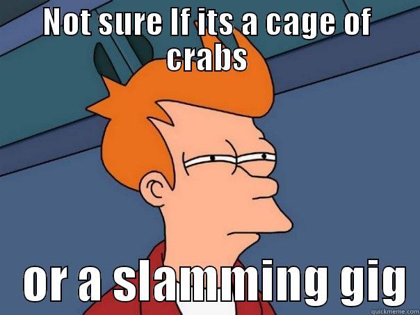 NOT SURE IF ITS A CAGE OF CRABS    OR A SLAMMING GIG Futurama Fry