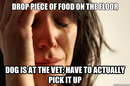 Drop piece of food on the floor dog is at the vet; have to actually pick it up  First World Problems