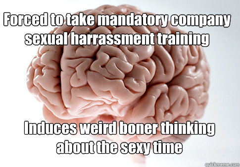 Forced to take mandatory company sexual harrassment training Induces weird boner thinking about the sexy time   Scumbag Brain