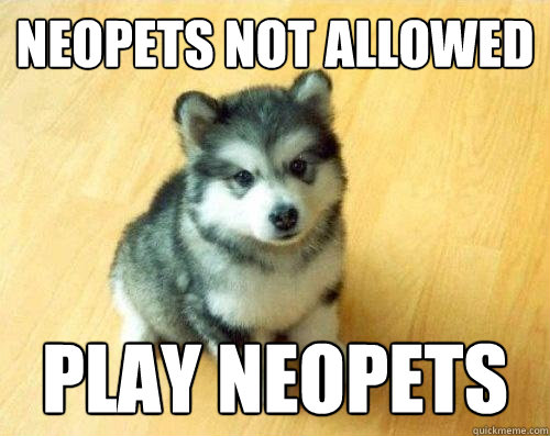 neopets not allowed play neopets  Baby Courage Wolf