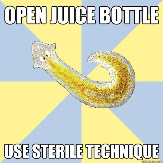 Open juice bottle Use sterile technique  Bio Major Planarian