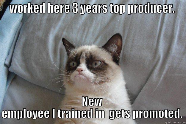 Top worker saves Bosses behind - WORKED HERE 3 YEARS TOP PRODUCER. NEW EMPLOYEE I TRAINED IN  GETS PROMOTED. Grumpy Cat