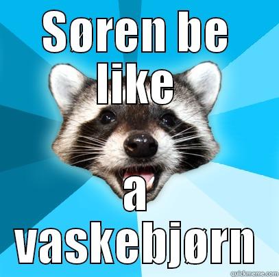 SØREN BE LIKE A VASKEBJØRN Lame Pun Coon