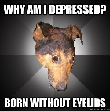 WHY AM I DEPRESSED? BORN WITHOUT EYELIDS  Depression Dog