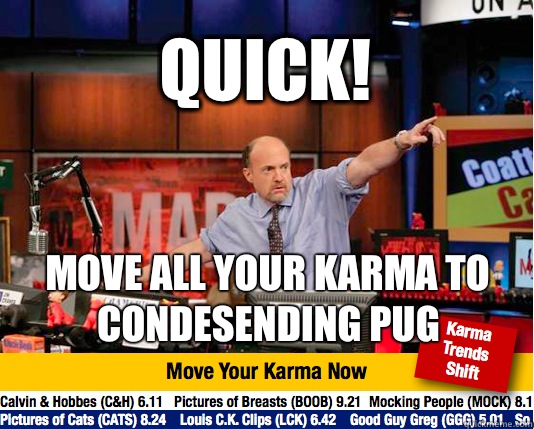 Quick!  move all your karma to condesending pug - Quick!  move all your karma to condesending pug  Mad Karma with Jim Cramer