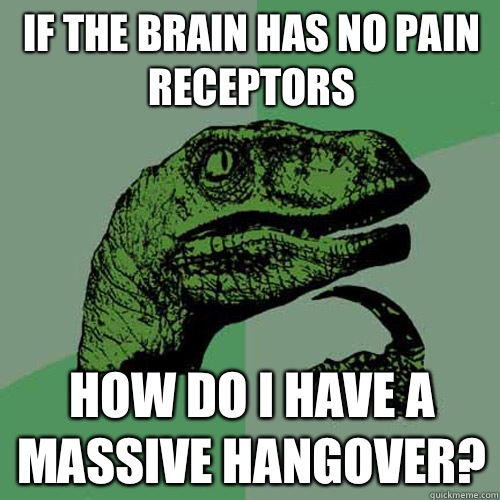 if the brain has no pain receptors How do i have a massive hangover?  Philosoraptor