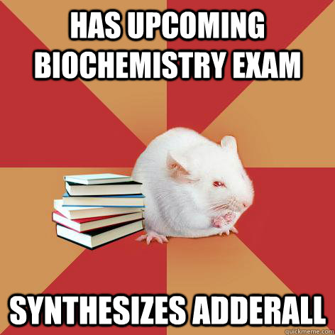 Has upcoming Biochemistry Exam Synthesizes Adderall  Science Major Mouse