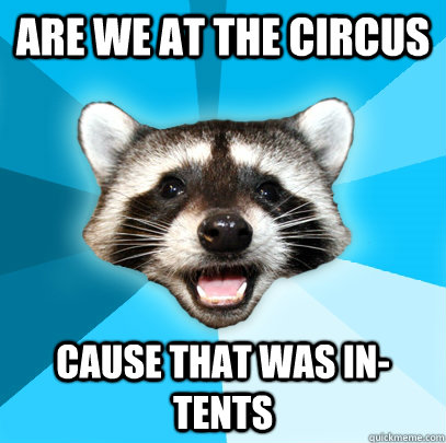 ARE WE AT THE CIRCUS CAUSE THAT WAS IN-TENTS  Lame Pun Coon