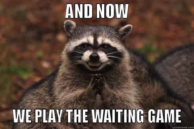 WAITING GAME -                    AND NOW                    WE PLAY THE WAITING GAME Evil Plotting Raccoon