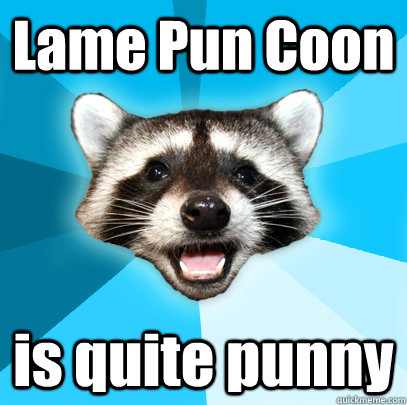 Lame Pun Coon  is quite punny - Lame Pun Coon  is quite punny  Lame Pun Coon