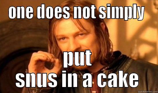 ONE DOES NOT SIMPLY  PUT SNUS IN A CAKE Boromir