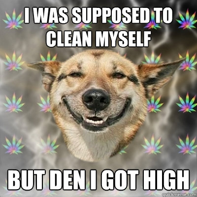 I WAS SUPPOSED TO CLEAN MYSELF BUT DEN I GOT HIGH  Stoner Dog